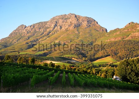 Cape Wine lands Holiday in December  Royalty-Free Stock Photo #399331075