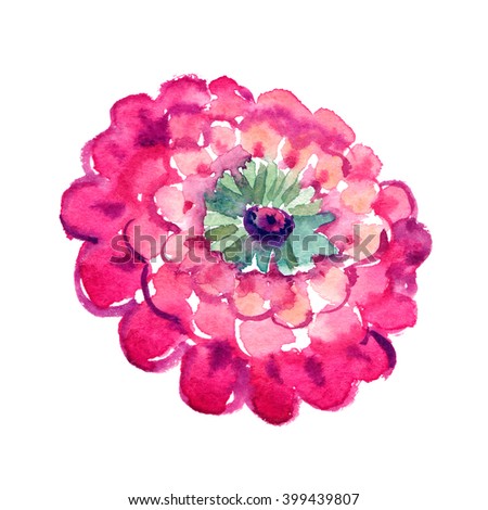Red Zinnia image. Watercolor pink flower element in modern style on white paper. Beautiful hand drawn illustration for template wedding invitation, bright organic emblem, natural body care badge.