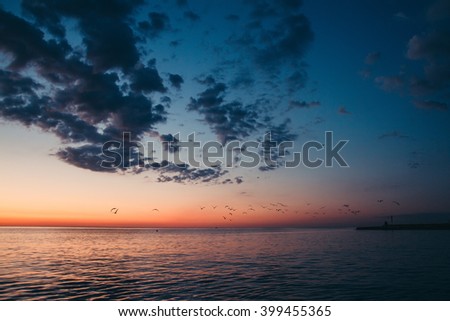 Seascape at sunrise.
A flock of seagulls flying over the water. Will soon be light.