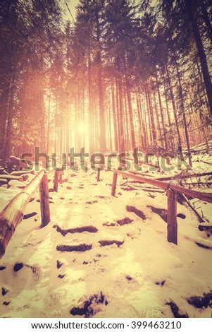 Vintage stylized sunset in mysterious forest with sun rays and long shadows on snow.