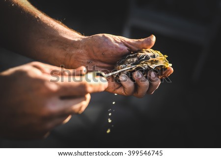 A man shucking fresh oysters with a blade, purposefully out of focus to be used as a background  Royalty-Free Stock Photo #399546745