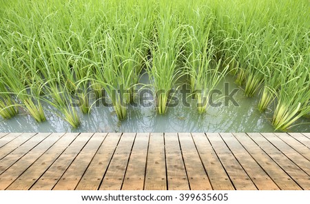 Wooden floor with grass vintage background