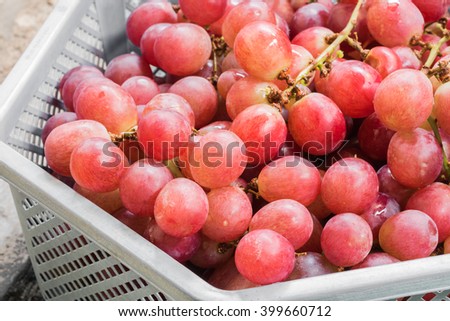 Close up red grapes in a basket.