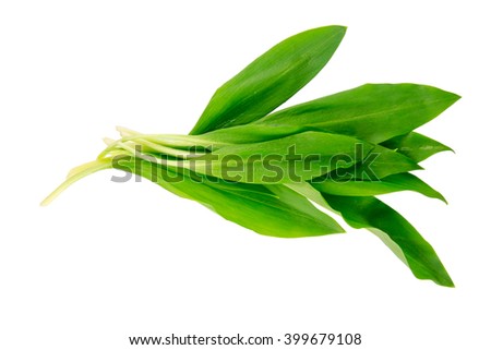Ramsons (Wild Garlic) isolated on a white background. Food series. Royalty-Free Stock Photo #399679108