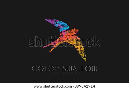 Swallow logo. Color swallow logo design. Bird logo design