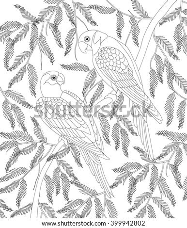 hand drawn bird coloring page