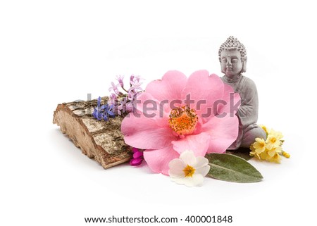 Trunk with flower and an Buddha ,theme for Ayurveda on an white background