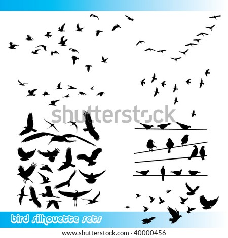 birds silhouette sets