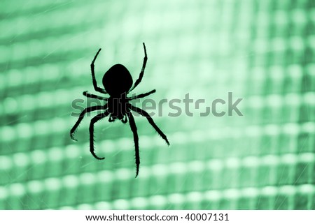 Silhouette of a cross-spider against green light