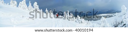 Panorama of Dragobrat, Ukraine. Among snow tops and fir-trees in snow there is skier in a red suit (look at my other travel photos)