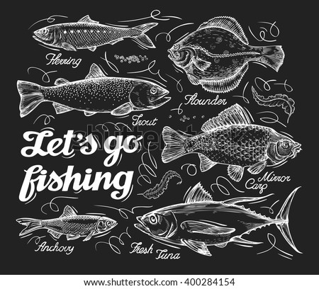 Fishing. Hand drawn sketch fish, herring, trout, flounder, carp, tuna, sprat. Vector illustration