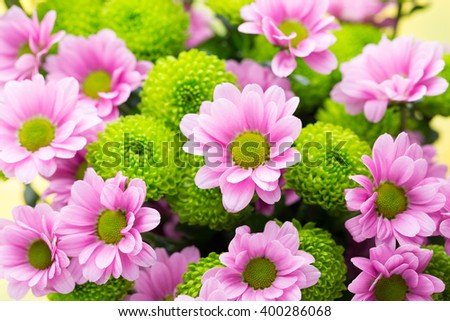 Background with springt flowers. Abstract flowers background. Easter background.