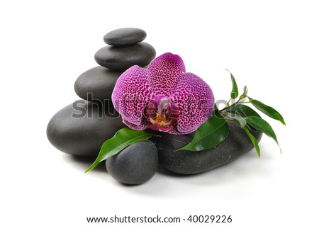 Pink orchid and stones on the white background