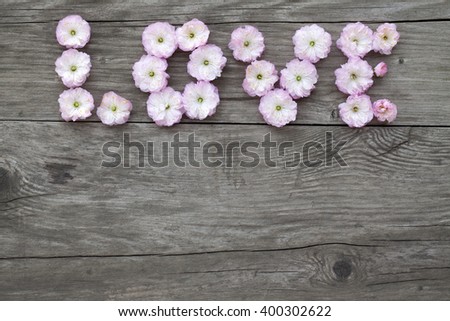 the word of pink, delicate flowers, letters flowers, love text on old textured background, original photography, flat lay