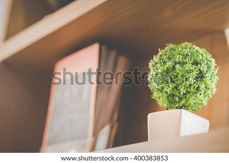 Tree on book shelf in coffee cafe ,Blur Vintage style