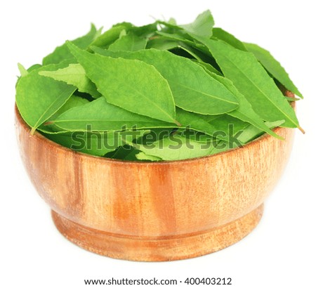 Curry Leaves in a wooden bowl over white background
