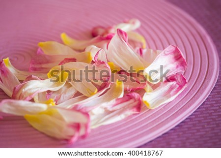 Flowers on the pink background
