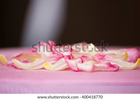 Flowers on the pink background