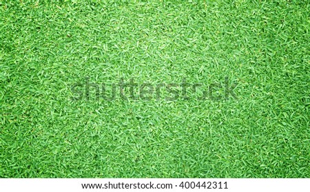 Golf Courses green lawn  background