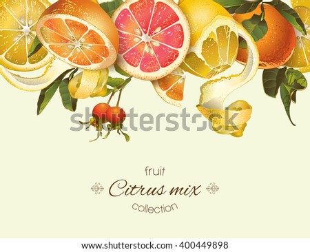 Vector vintage citrus banner with lemon, mandarin and grapefruit.Design for tea, juice, natural cosmetics, baking,candy and sweets with citrus filling,grocery,health care products.With place for text.