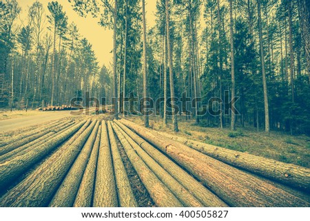 Big logs of wood in the forest, landscape of deforestation. Country road and felled tree trunks, pine tree logging, vintage photo
