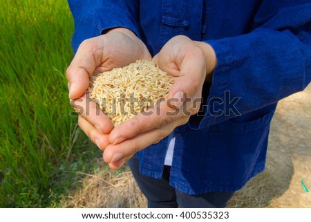 Rice on hand, brown rice