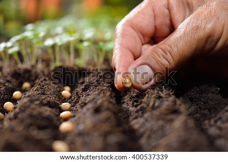 Farmer's hand planting seed in soil Royalty-Free Stock Photo #400537339