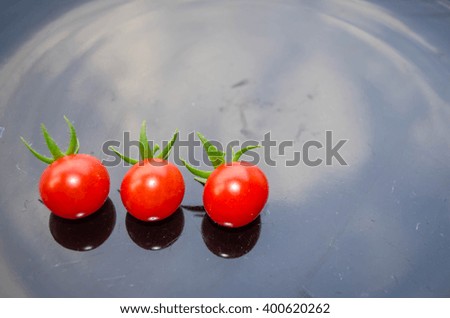 Cherry tomatoes on black disk background. 