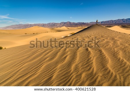 Landscape of Mesquite Sand Dunes, Death Valley National Park.  The picture has a blue and clear sky and shows the sand dunes environment. Death Valley National Park is in California, U.S.A.