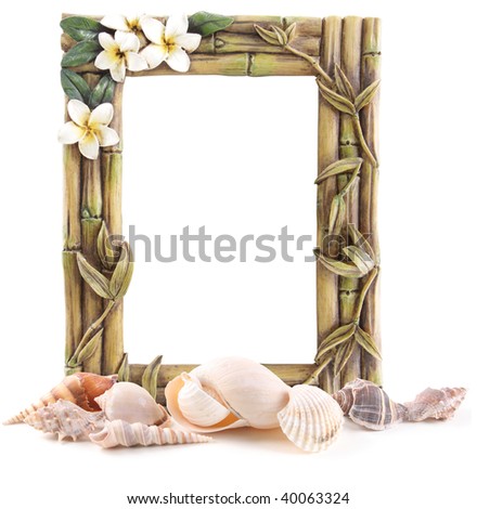 Bamboo frame and sea shells isolated on white
