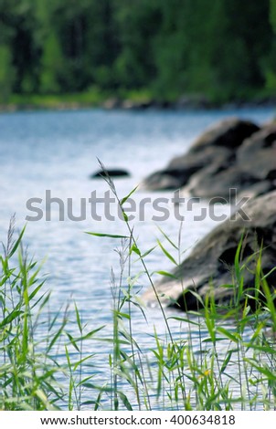 river shore with grass and rocks