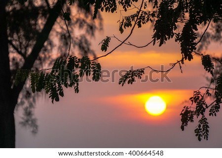 Vintage frame from trees sunset at Tanjung Aru,Kota Kinabalu,Sabah.