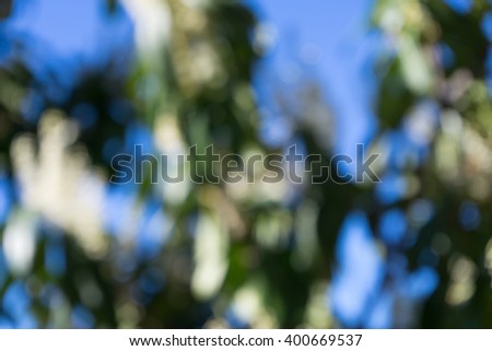 Abstract background of blue sky and green plants are not in focus