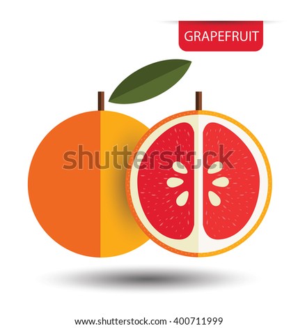 Grapefruit. vector illustration.
