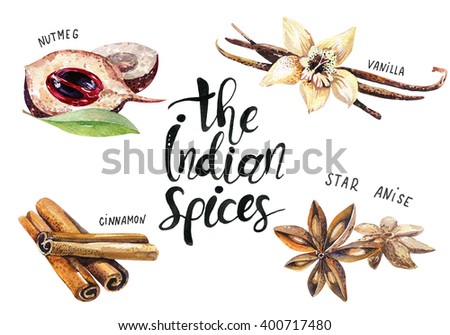 set of spice, drawing by watercolor, hand drawn illustration. Watercolor hand drawn illustration with different spices