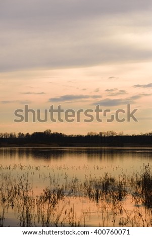 Vertical photo of a lake during evening time with cloudy sky. Reed is in front and dark trees in are in background. 