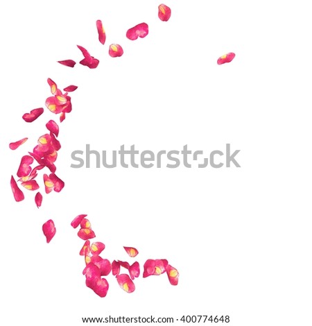 The spotted petals of roses are flying in a circle on isolated white background. There is a place for Your text or photo
