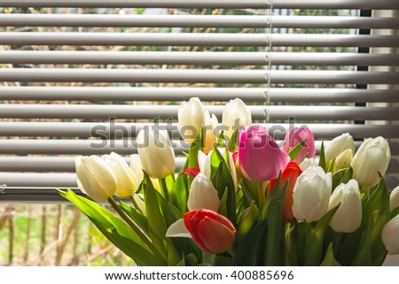Colorful tulip flower bouquet in vase against window blind 
Fresh tulips arranged in vase silver metall jalousie in background, image for decoration concept