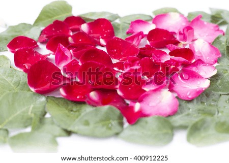 Rose petals Heart Shape isolated on white background
