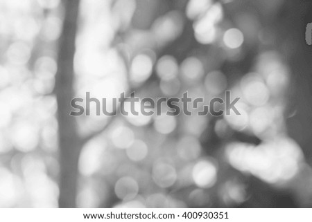 Blurred Monochrome nature backgrounds,blurred backgrounds concept.