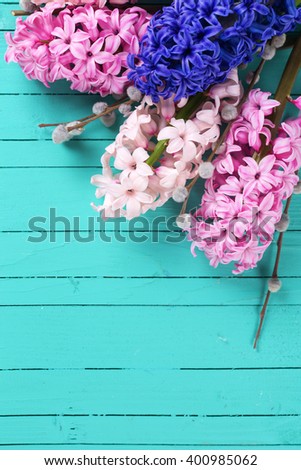 Background with fresh  hyacinths and willow  on green painted  wooden planks. Selective focus. Place for text.