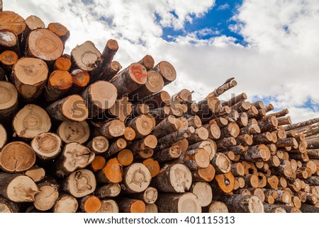 Texture of rotten logs in a blue cloudy sky background manufaction of wood
