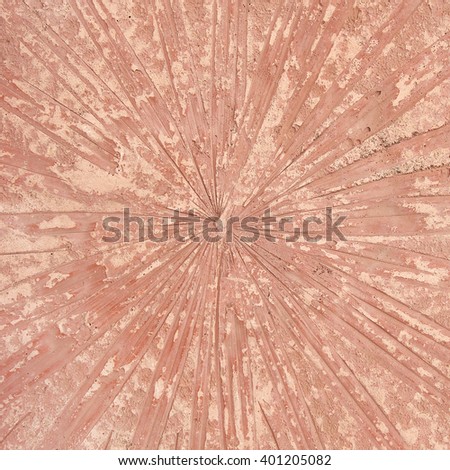 marks of palm leaves on the concrete background