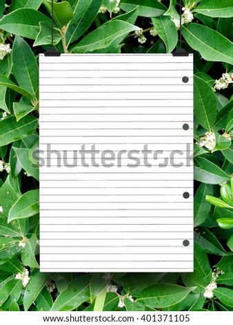 Close-up of one blank paper sheet frame hanged by clips against green foliage background