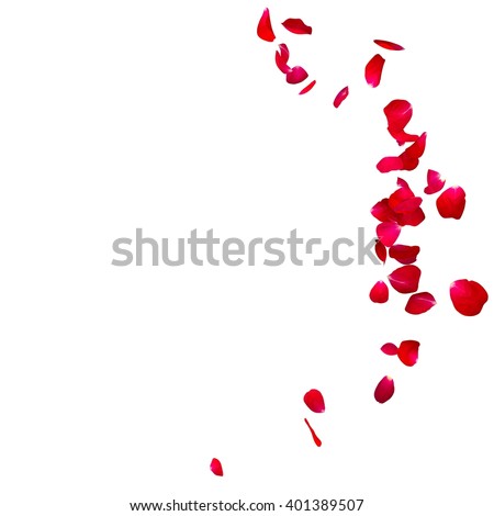 The red rose petals are flying in a circle on isolated white background. There is a place for Your text or photo Royalty-Free Stock Photo #401389507