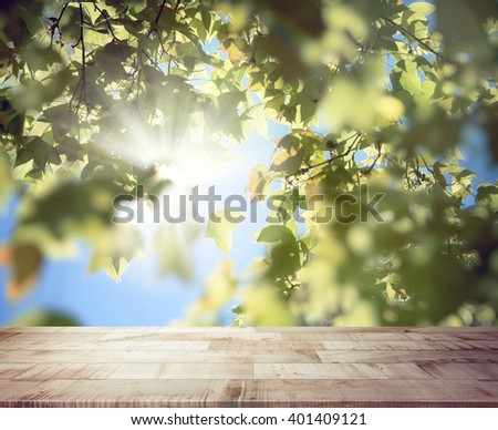 Top of wooden plank or terrace with sunburst shines through the Maple tree, soft color toned.