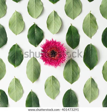 Pink flower on green leaves pattern on white background. Flat lay.