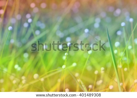 Blurred of nature outdoor bokeh background