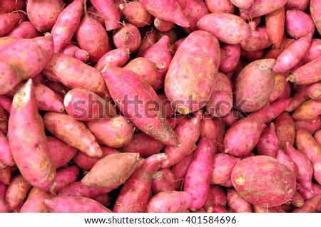 Organic Sweet Potato Close Up photo