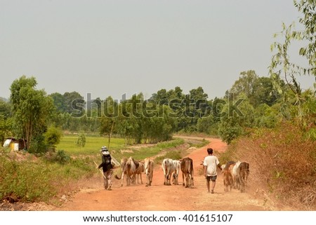 farmer and cow on dirt road.